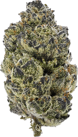 DblFdgCkies