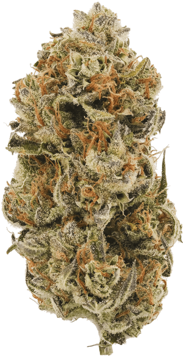 Green Kush