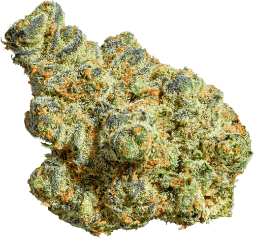 Appl Fritter